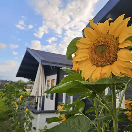 Letniskowe Oazaspokoju Gaski Σπίτι διακοπών *
