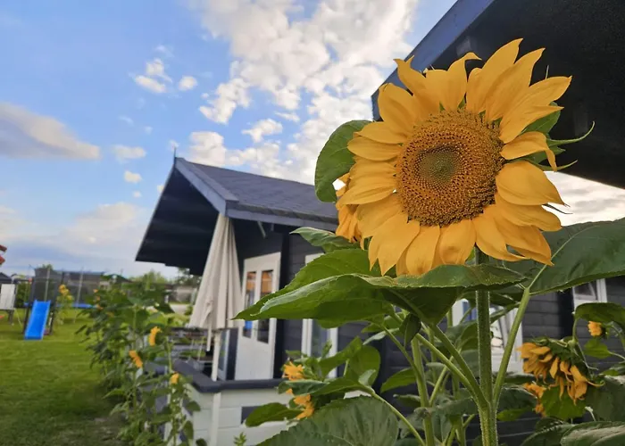Letniskowe Oazaspokoju Gaski Σπίτι διακοπών *